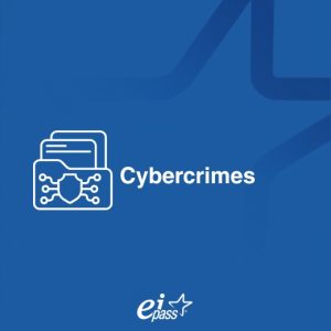 Cybercrimes