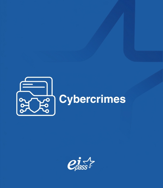Cybercrimes