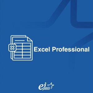 Excel Professional
