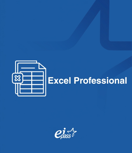 Excel Professional